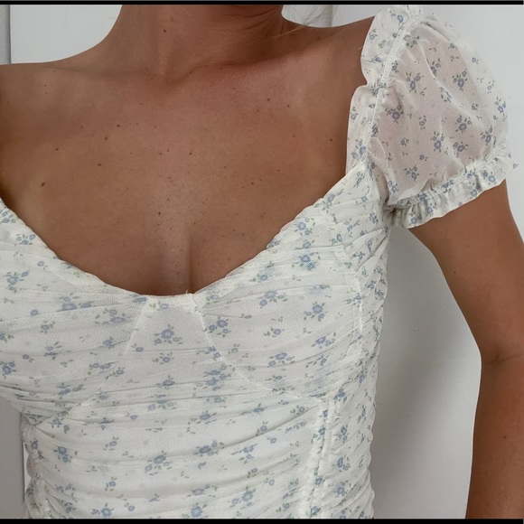 Tiger Mist Tops - Tiger Mist Toronto Top